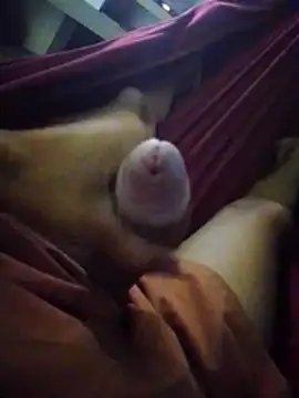 Holanda23cm online show from 04-13-26, 01:42