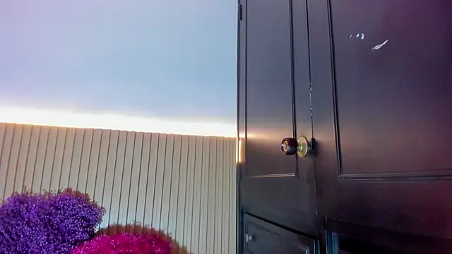 Alana 333 online show from 12-17-25, 11:59