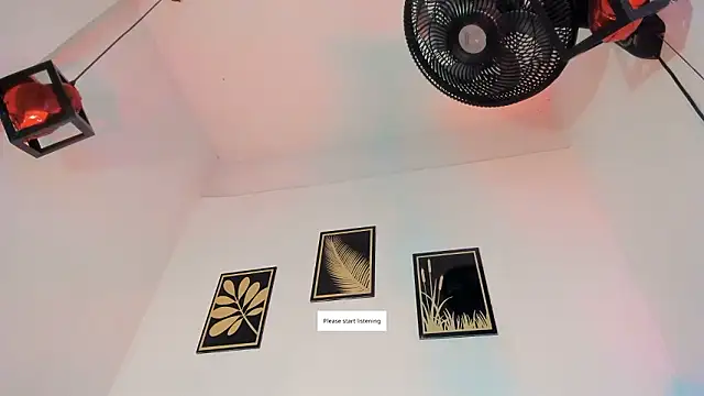 criss zuri online show from 03-07-26, 12:54