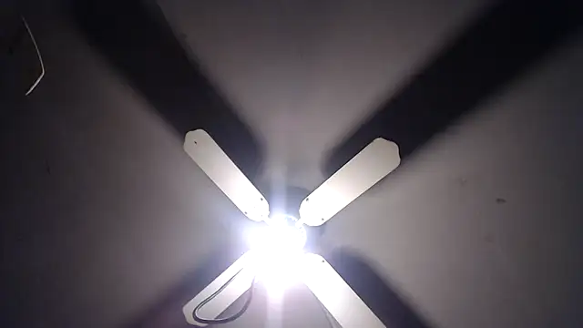 Snapshot of BiglovelyXXL chatting on 11-23-25, 04:33 BiglovelyXXL online show from 11-23-25, 04:33