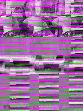 Snapshot of WWGD69 chatting on 10-31-25, 11:40 WWGD69 online show from 10-31-25, 11:40