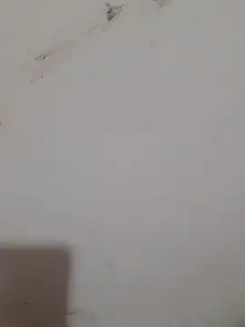 Sexy Mal89 online show from 12-16-25, 05:28