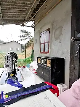 Tin tanny online show from 02-03-26, 06:33