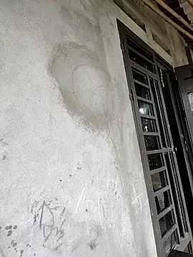 Tin tanny online show from 02-21-26, 12:34