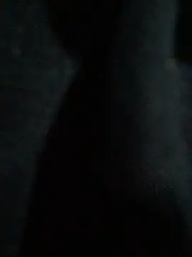 hmleonardo online show from 04-15-26, 07:25