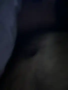 sukebegorilla online show from 11-24-25, 05:13