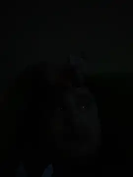 whitsblack online show from 11-03-25, 11:52