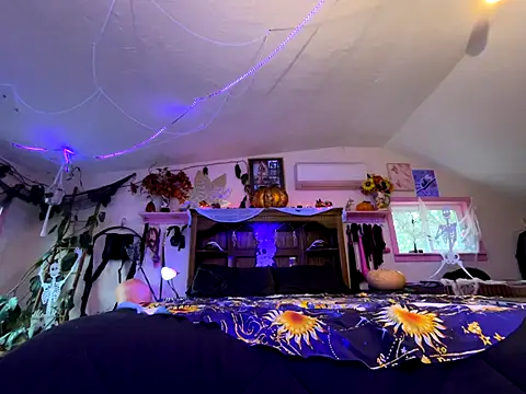 kinkycanner online show from 11-06-25, 12:03