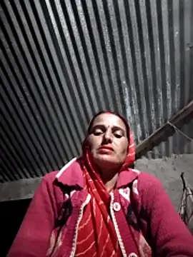 Jalebi bay online show from 11-11-25, 12:44