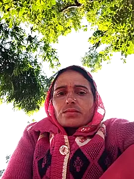 Jalebi bay online show from 11-08-25, 02:15