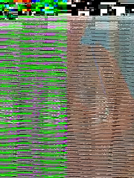 Jalebi bay online show from 11-27-25, 10:16