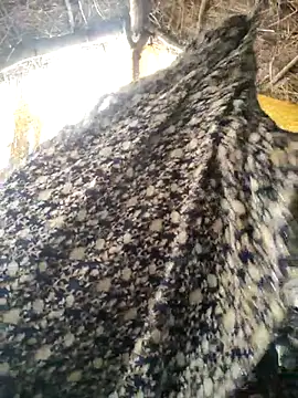 LUCKY cut online show from 10-20-25, 03:08