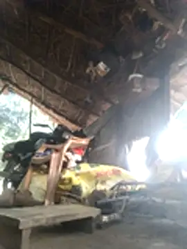 LUCKY cut online show from 11-18-25, 02:27