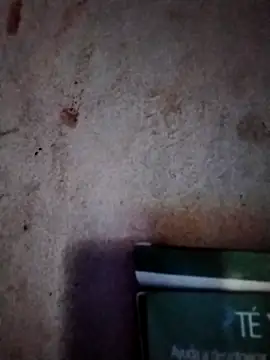  tetas 92 online show from 03-07-26, 01:27