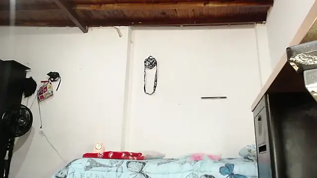  aslhey naughty online show from 01-13-26, 02:10