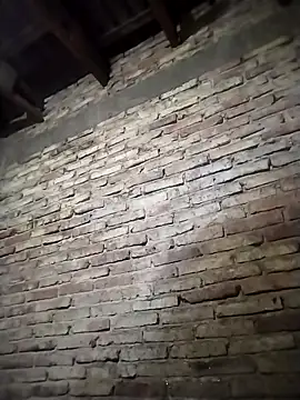 Snapshot of Efrain6996 chatting on 09-24-25, 08:54 Efrain6996 online show from 09-24-25, 08:54