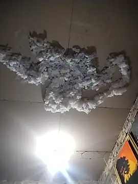 Snapshot of Efrain6996 chatting on 10-20-25, 12:02 Efrain6996 online show from 10-20-25, 12:02