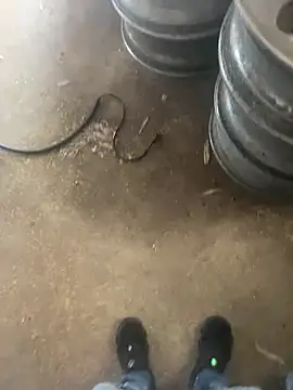 Chico031289 online show from 02-12-26, 06:29