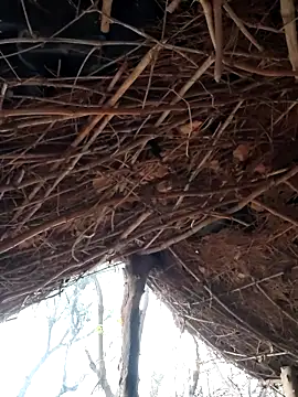 Janvi Jaitly online show from 12-05-25, 01:27