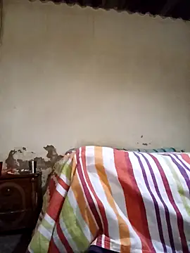 Snapshot of average_price chatting on 11-12-25, 04:16 average price online show from 11-12-25, 04:16