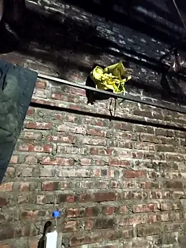 Snapshot of siki-00 chatting on 12-16-25, 11:47 siki-00 online show from 12-16-25, 11:47