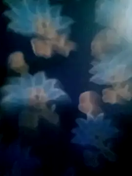 your favourite bhabhi online show from 11-02-25, 01:49