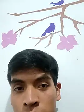 Snapshot of DavidVergagigante420 chatting on 09-09-25, 12:21 DavidVergagigante420 online show from 09-09-25, 12:21