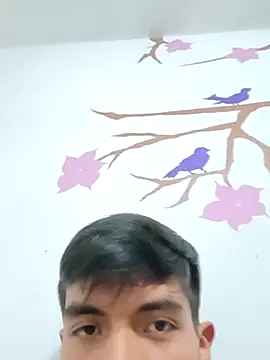 Snapshot of DavidVergagigante420 chatting on 11-06-25, 04:11 DavidVergagigante420 online show from 11-06-25, 04:11