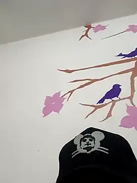 Snapshot of DavidVergagigante420 chatting on 09-10-25, 08:30 DavidVergagigante420 online show from 09-10-25, 08:30