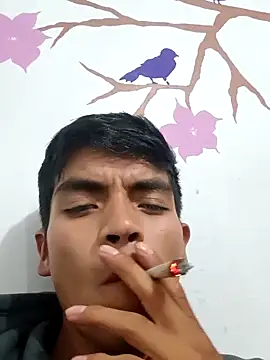 Snapshot of DavidVergagigante420 chatting on 09-12-25, 05:18 DavidVergagigante420 online show from 09-12-25, 05:18