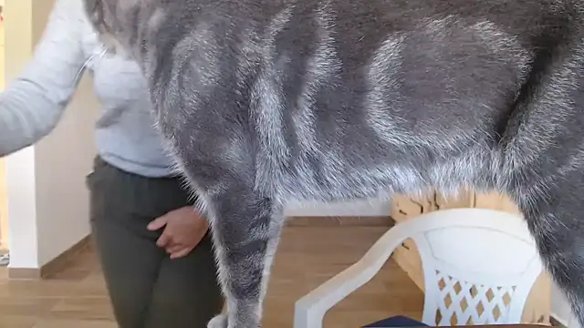 Missforever online show from 03-23-26, 04:51