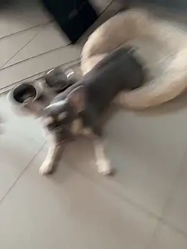 KstnSrg19 online show from 11-30-25, 08:37