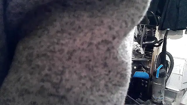 georgew62 online show from 03-08-26, 01:11