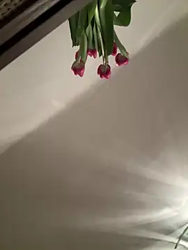 SophiiaStarr online show from 02-07-26, 07:33