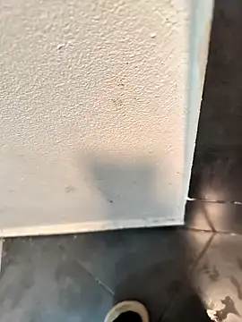 penchis90 online show from 12-14-25, 02:22