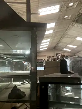 True Di online show from 12-14-25, 11:16