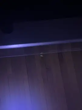 XBODTRIIPX online show from 04-07-26, 11:17