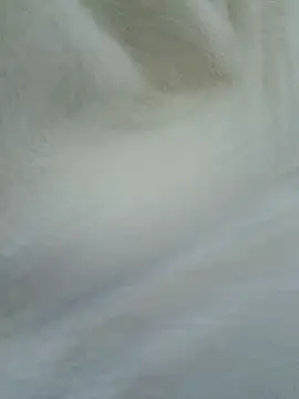 novinho100795 online show from 12-19-25, 12:03