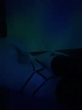 Snapshot of gjollyros chatting on 02-18-26, 08:16 gjollyros online show from 02-18-26, 08:16