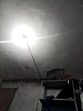 Ferxxxo1503 online show from 11-26-25, 04:23