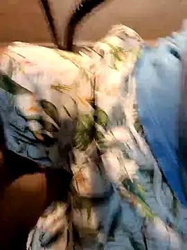 Gallo001 online show from 12-16-25, 11:03