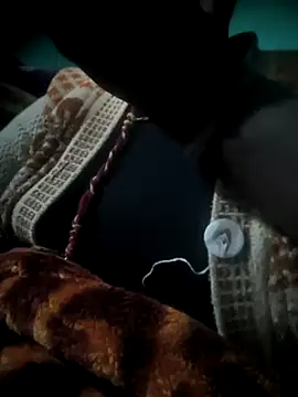 Hot-dasi52 online show from 01-11-26, 03:41