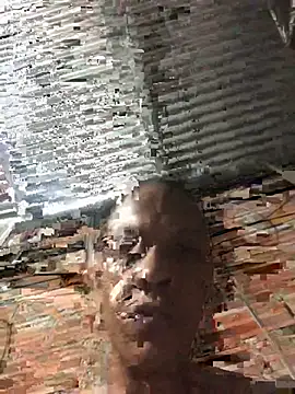 elpeluchenegroxxx3 online show from 03-11-26, 03:22