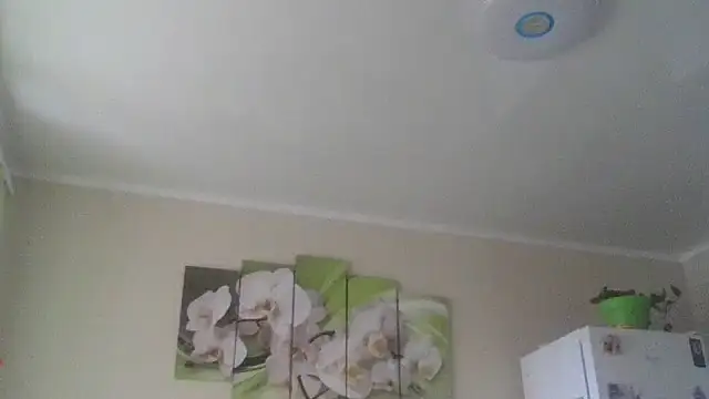 Snapshot of Zhinara chatting on 11-09-25, 09:35 Zhinara online show from 11-09-25, 09:35