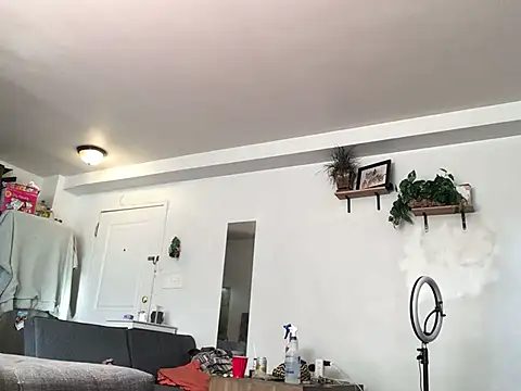 littyleesh1 online show from 01-13-26, 04:00