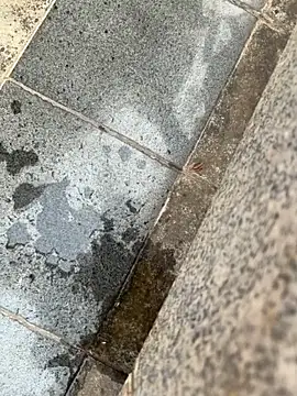 wemroudeyu online show from 04-30-26, 10:00