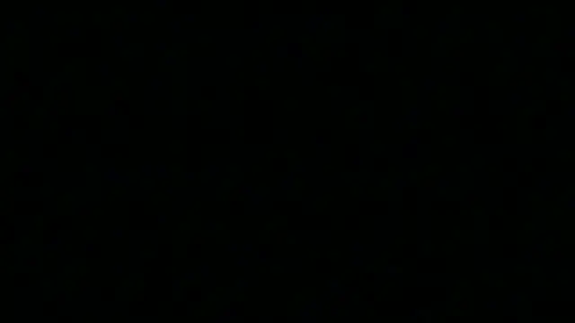 Pyrelissa online show from 12-04-25, 06:34