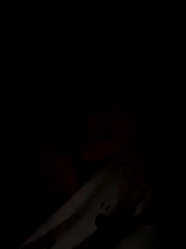 Dakota Evanns online show from 11-28-25, 06:24