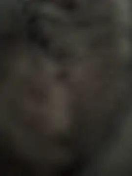 Immerhartundgeil online show from 05-09-26, 06:17