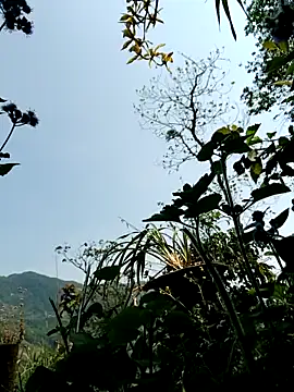 kemtuoi-sex online show from 04-08-26, 03:19